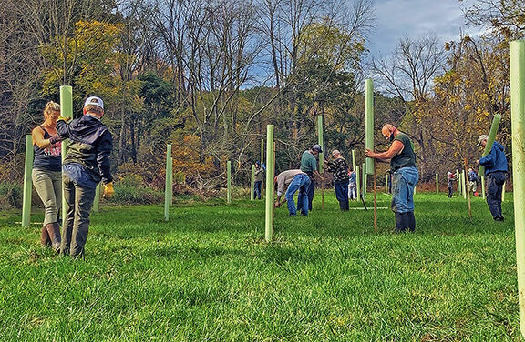 PA tree planting